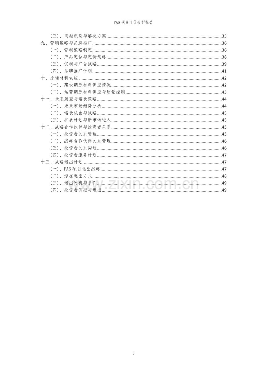 2023年PA6项目评价分析报告.docx_第3页