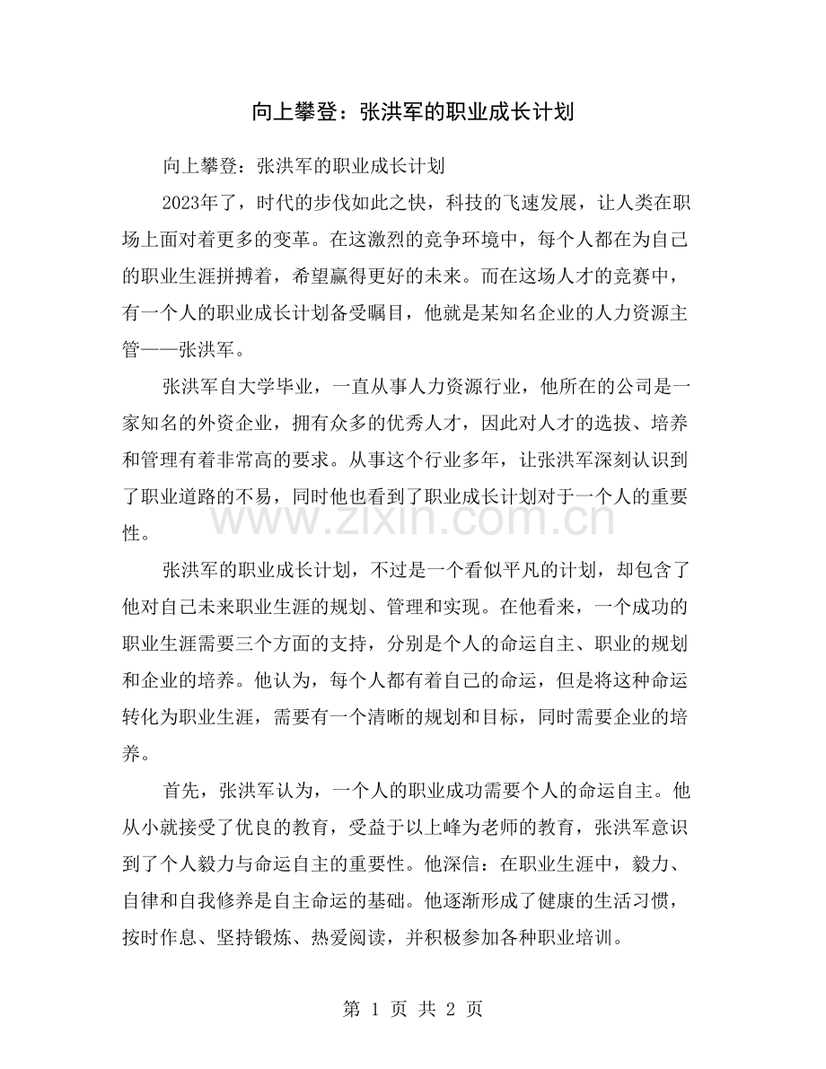 向上攀登：张洪军的职业成长计划.doc_第1页