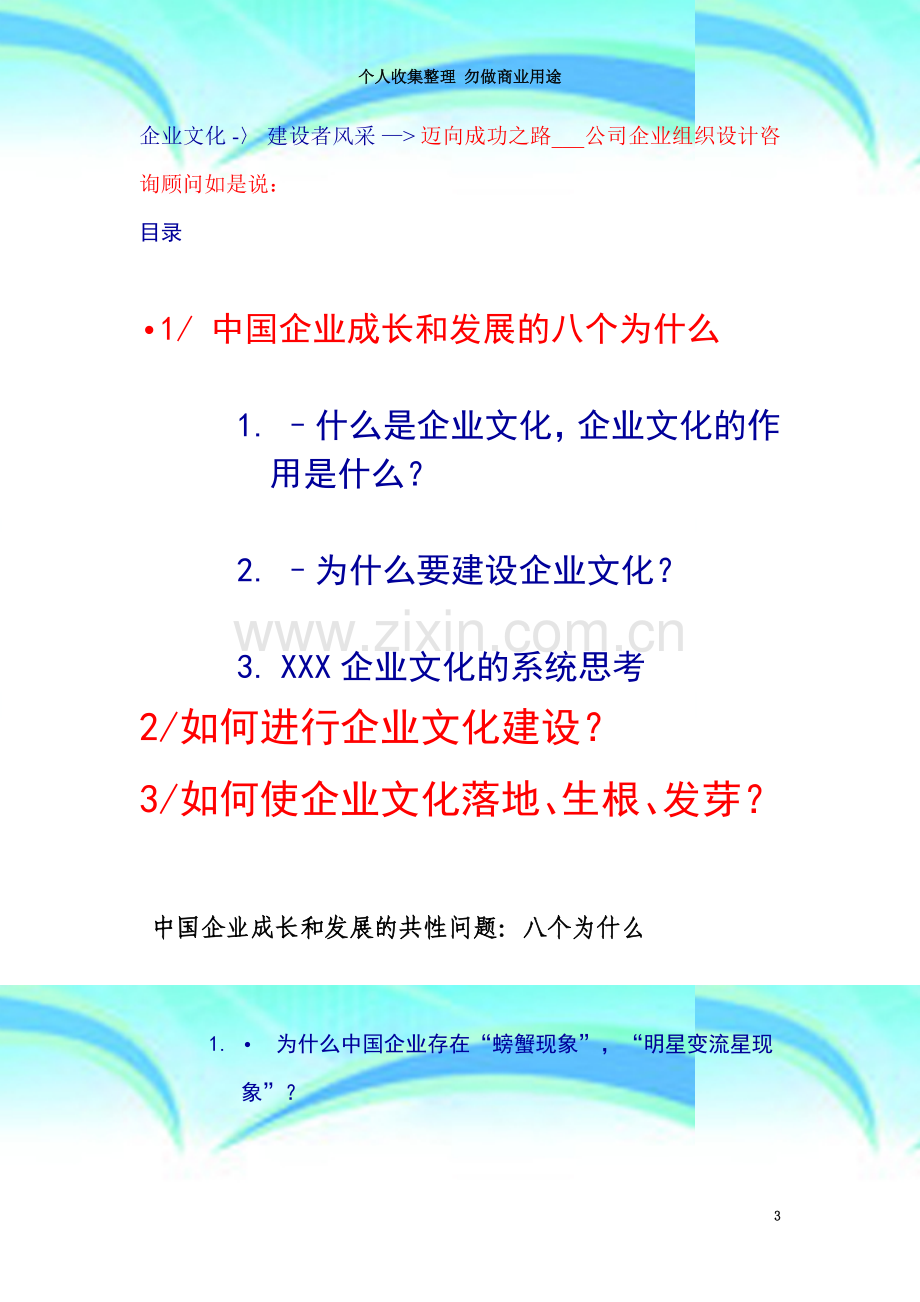 王家荣-咨询公司文化内训资料.doc_第3页