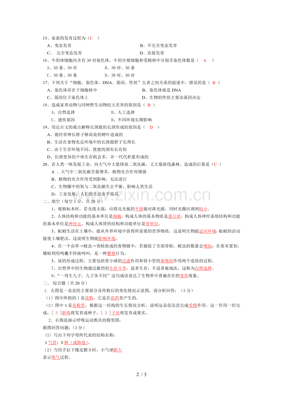 初级中学生物中考模拟试题.doc_第2页