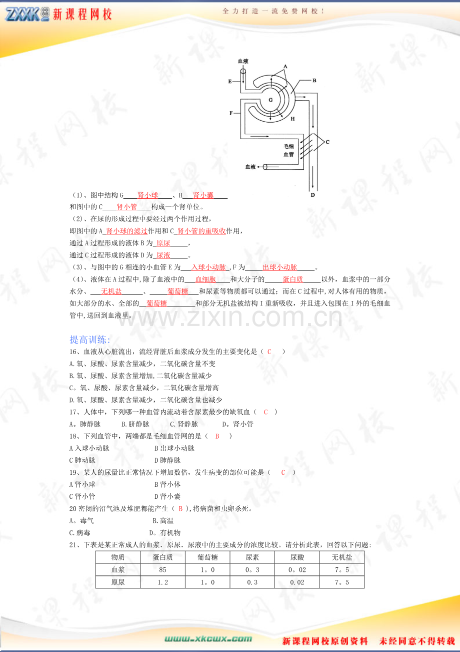 第五章人体内废物的排出测试题试.doc_第3页