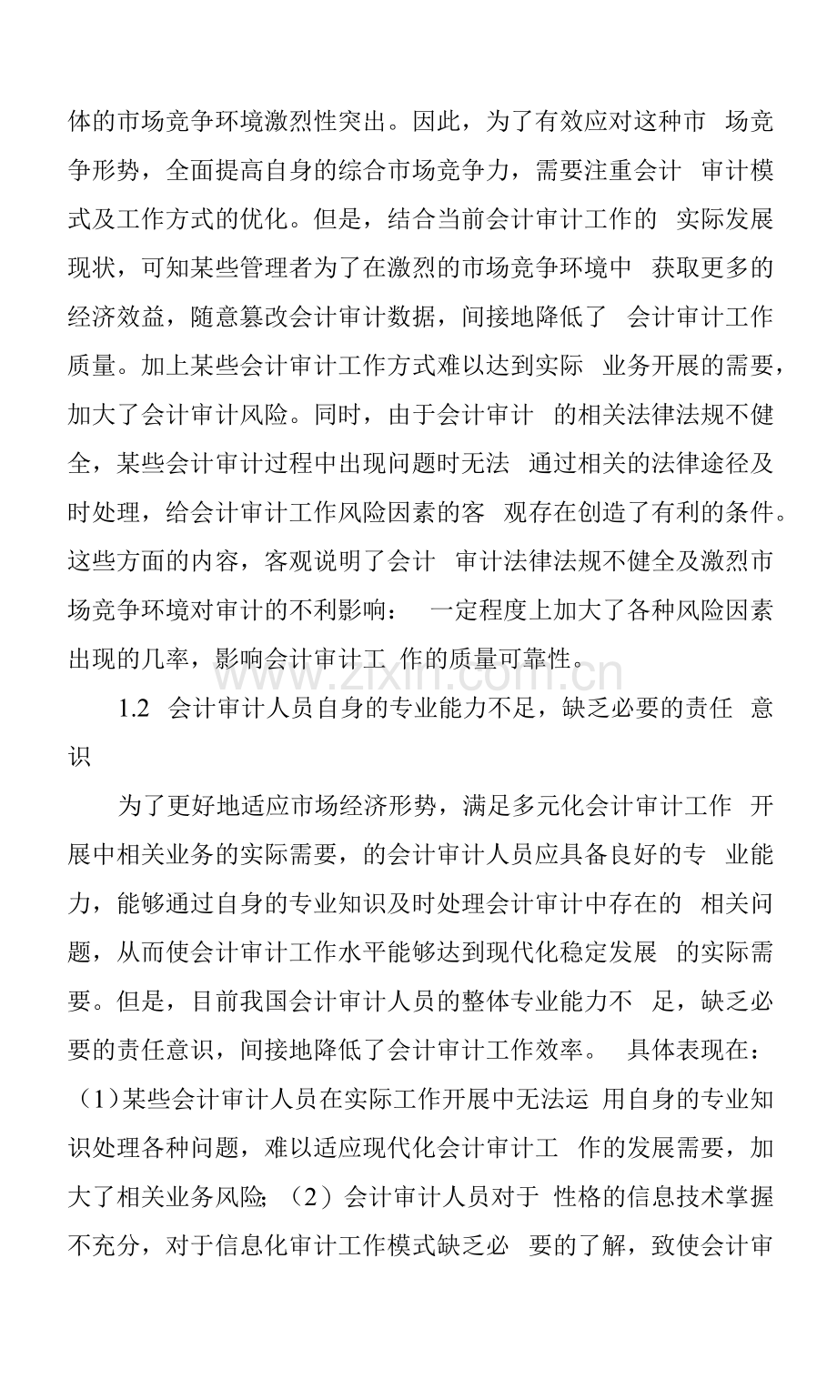 会计审计风险因素与信息化审计对策.docx_第2页