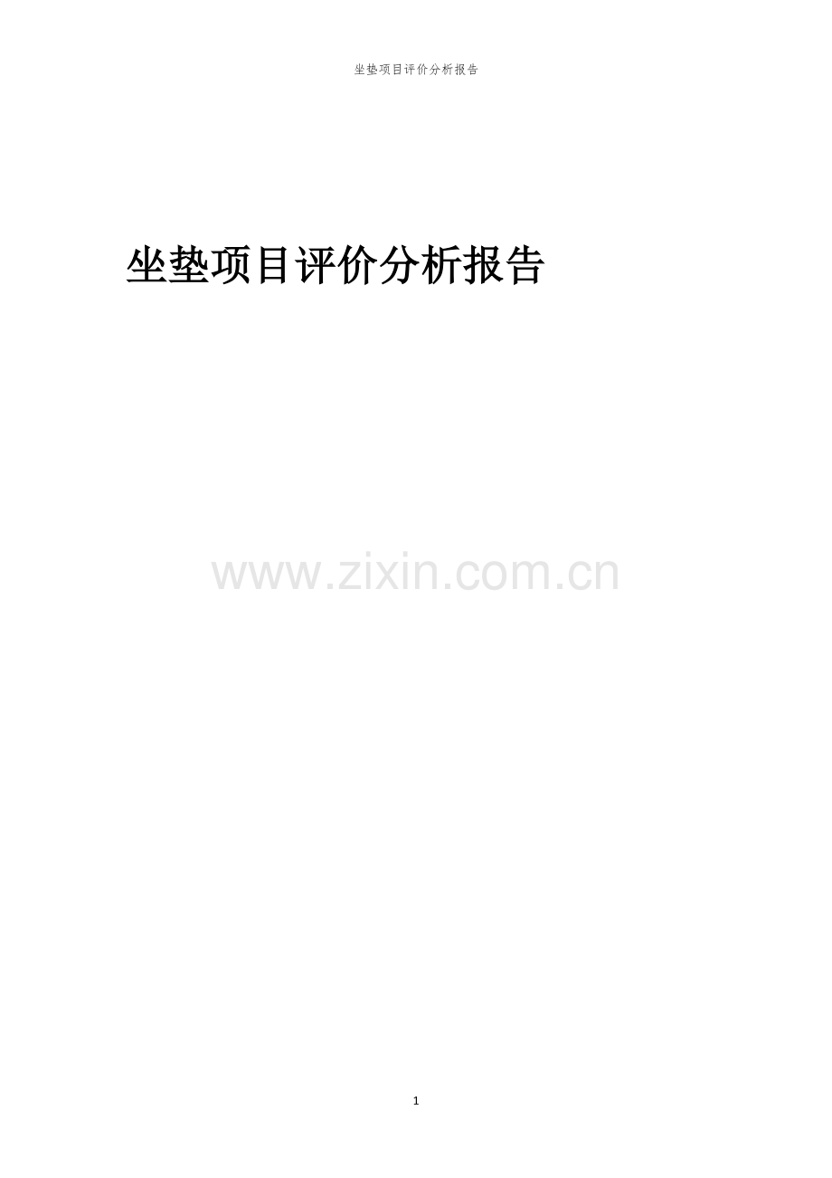 2023年坐垫项目评价分析报告.docx_第1页