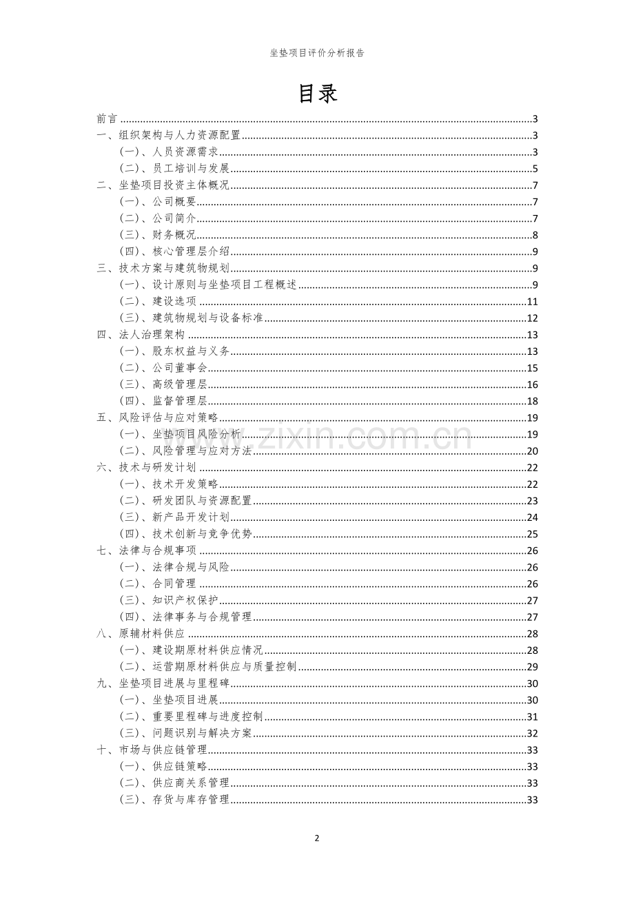 2023年坐垫项目评价分析报告.docx_第2页