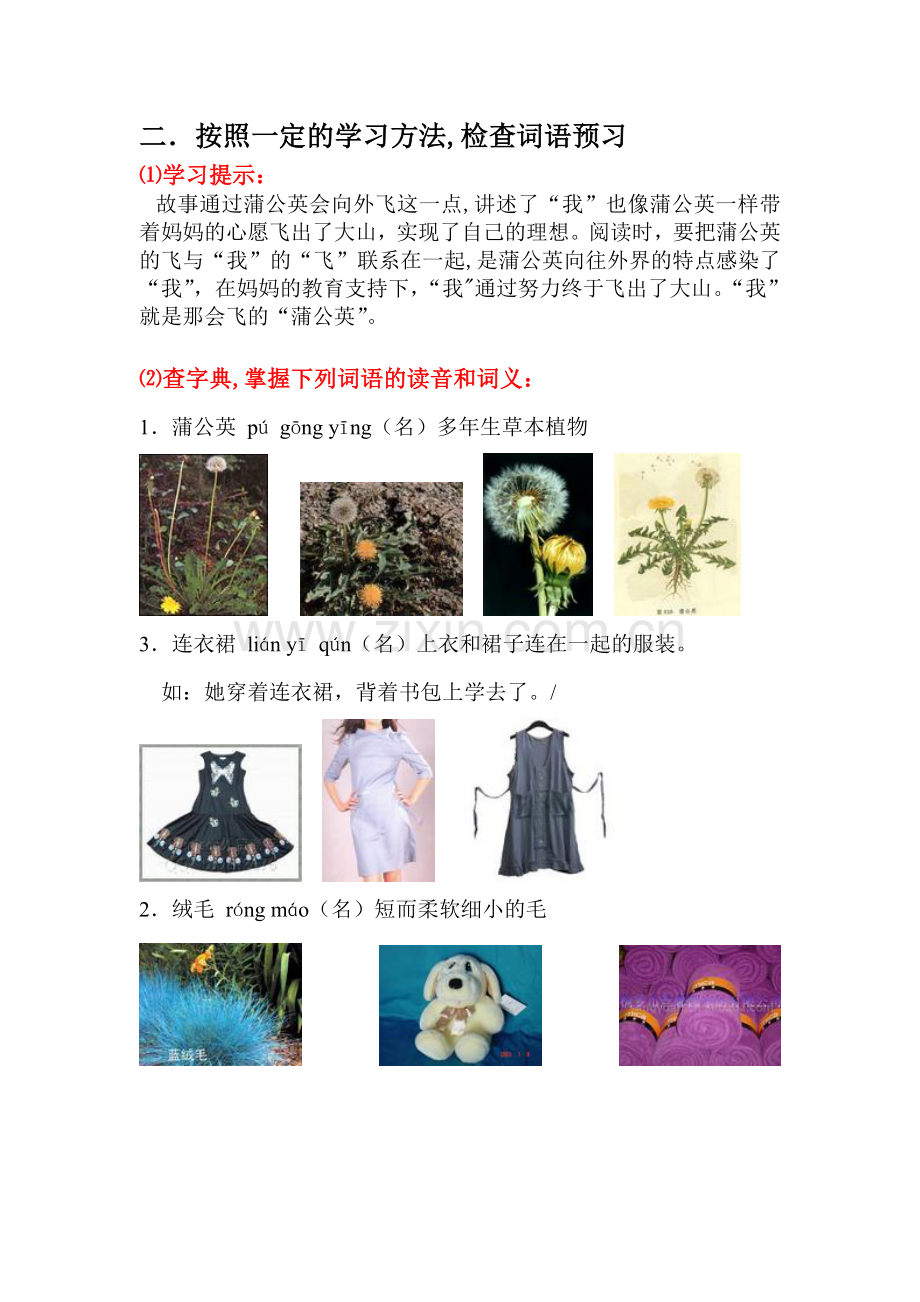 第十课会飞的蒲公英.doc_第2页