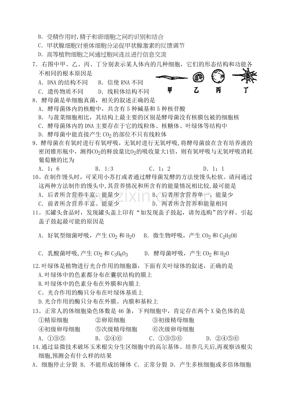 长春市实验中学2011—2012学年高三年级十一月考试.doc_第2页