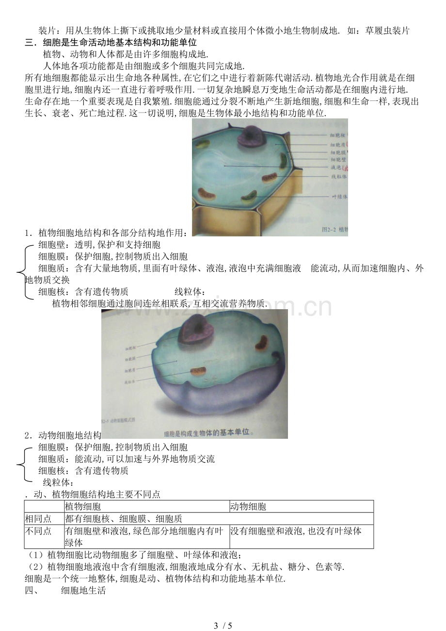 新人教七版七(上)生物期中复习资料doc.doc_第3页