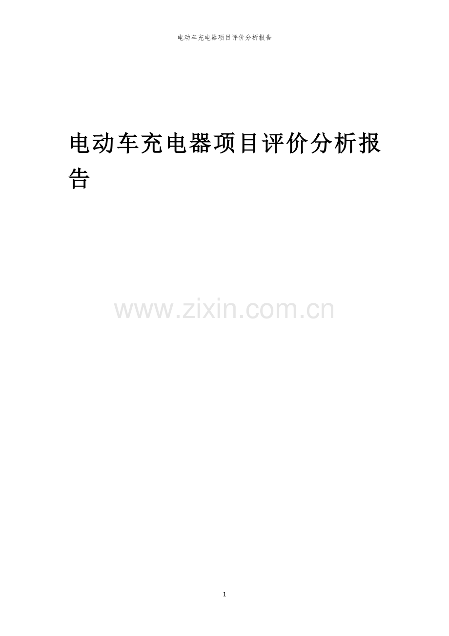 电动车充电器项目评价分析报告.docx_第1页