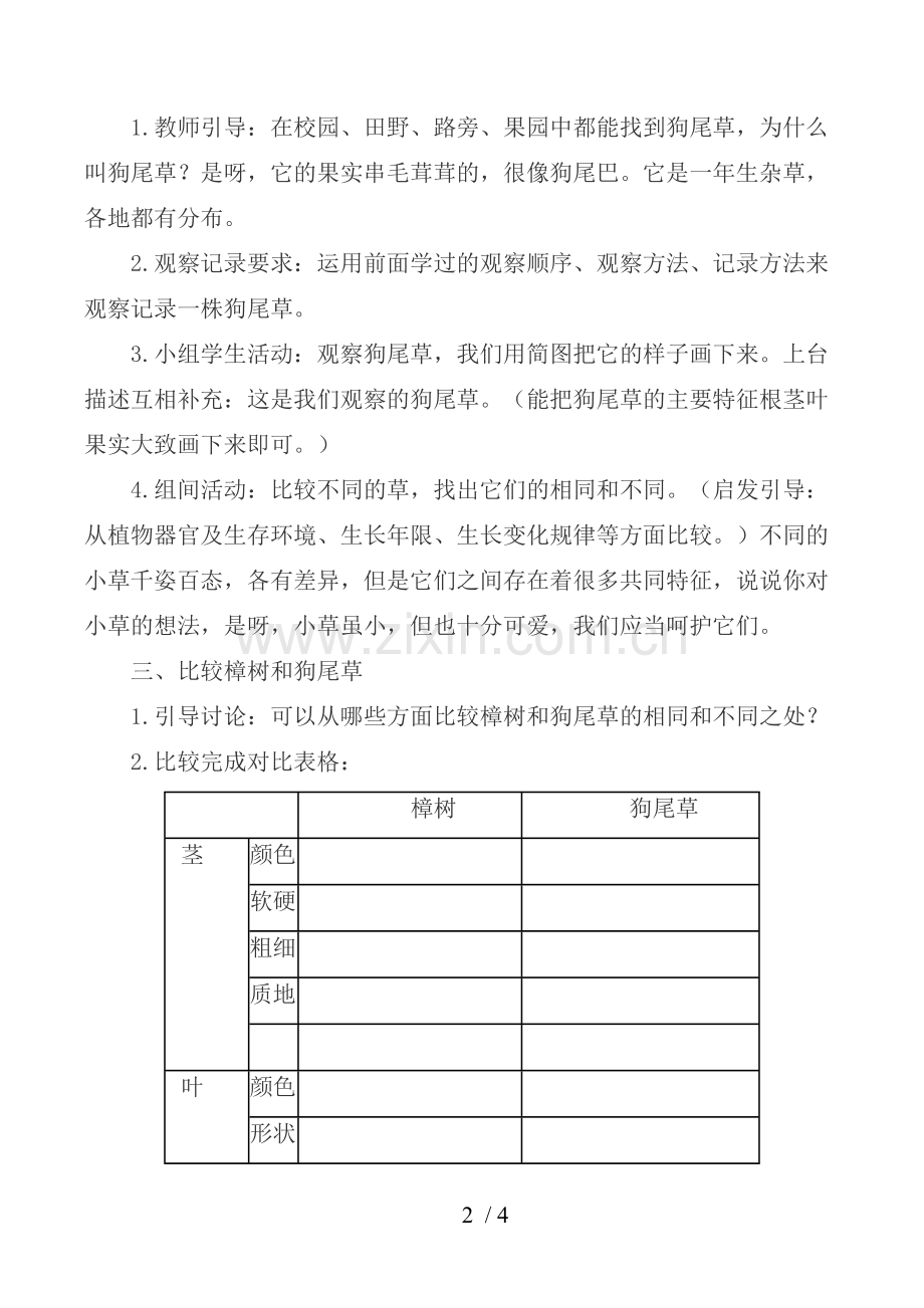 大树和小草优秀教案.doc_第2页