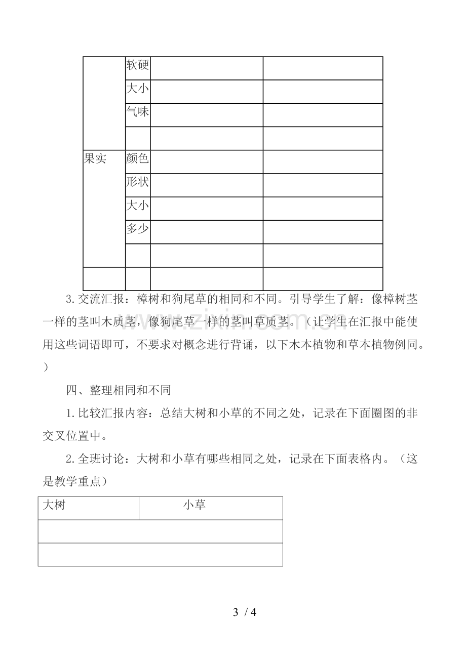 大树和小草优秀教案.doc_第3页