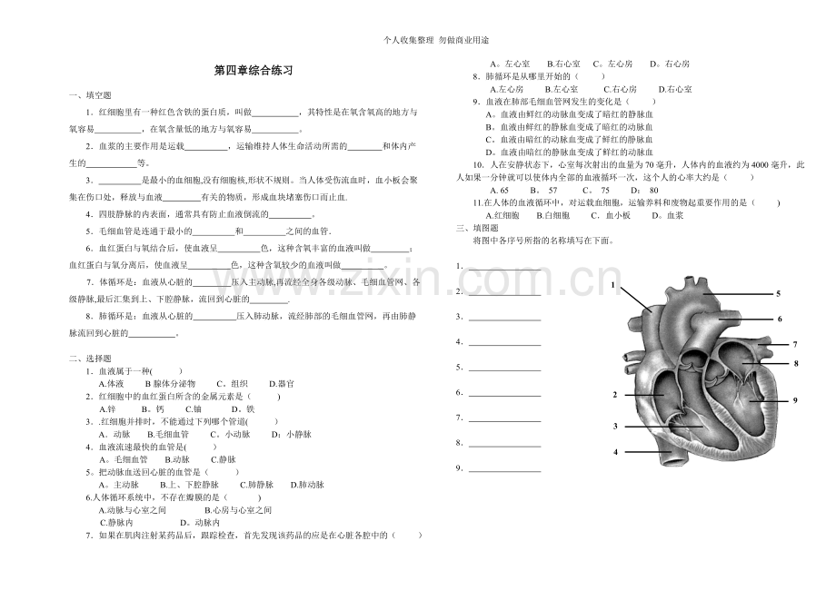 初一生物总复习题.doc_第3页