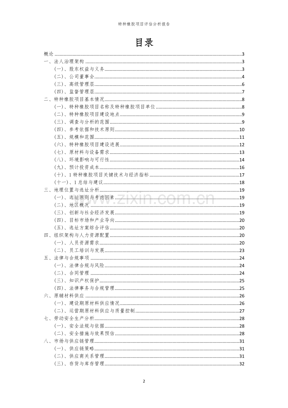 特种橡胶项目评估分析报告.docx_第2页