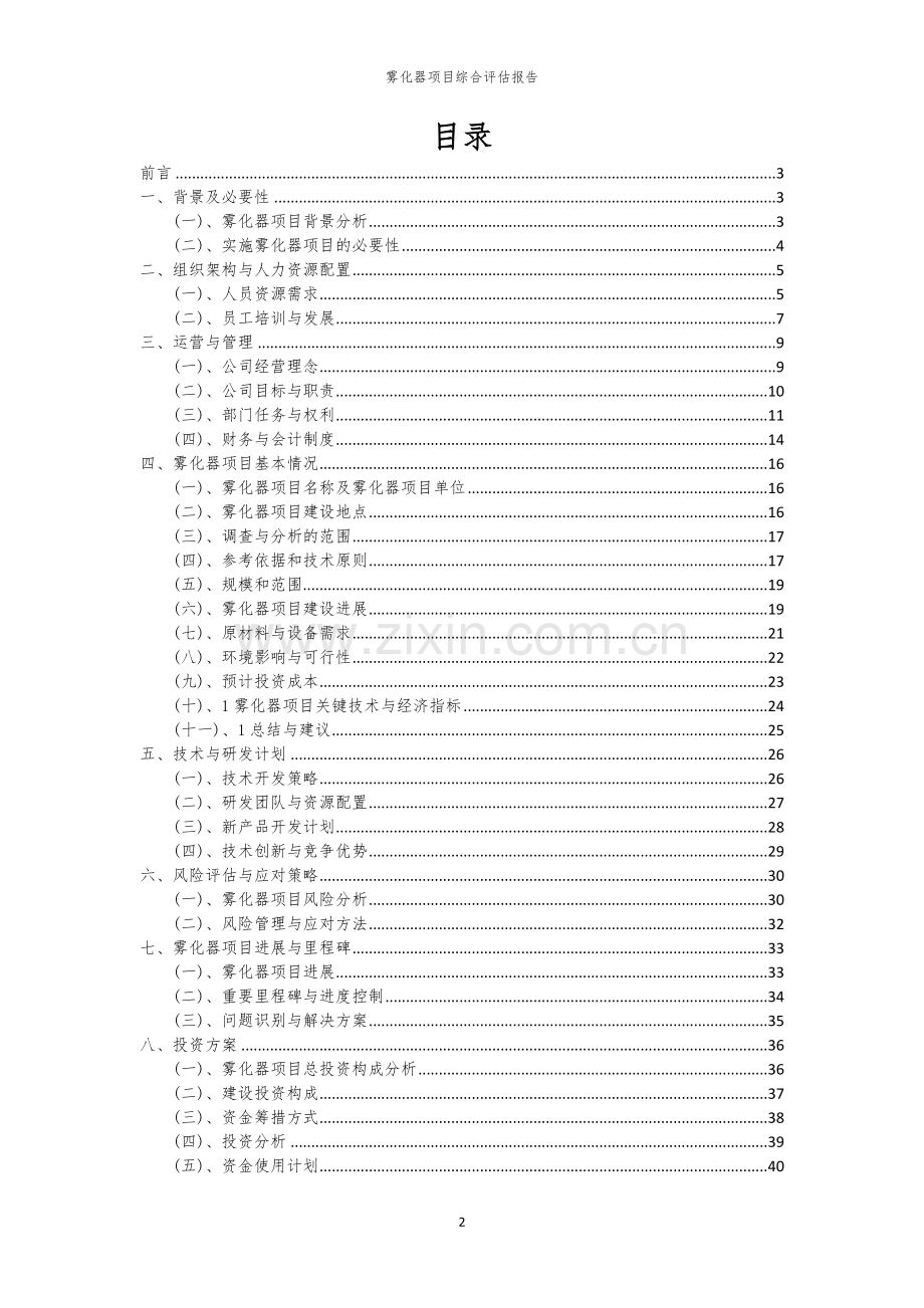 雾化器项目综合评估报告.docx_第2页