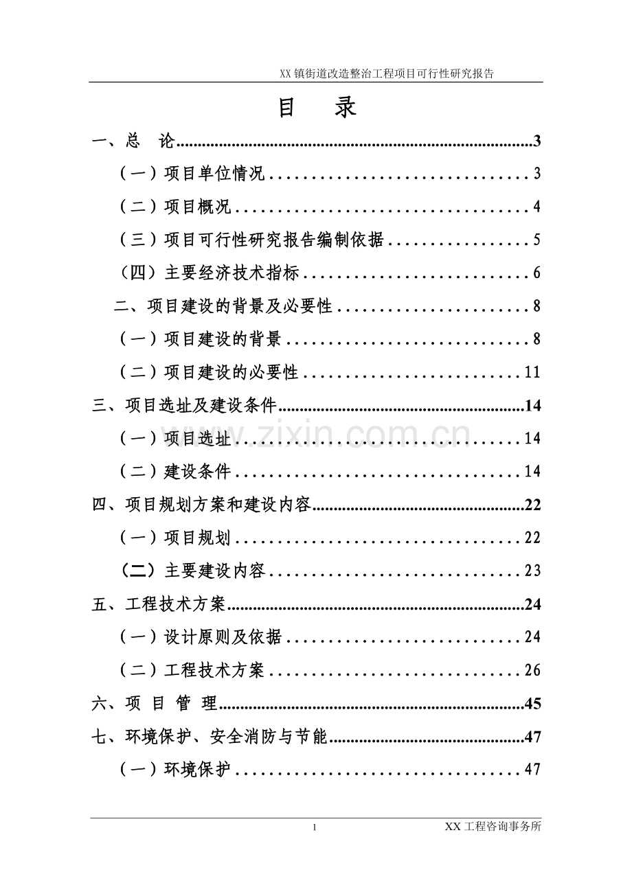 镇街道改造整治工程项目可行性研究报告.doc_第1页