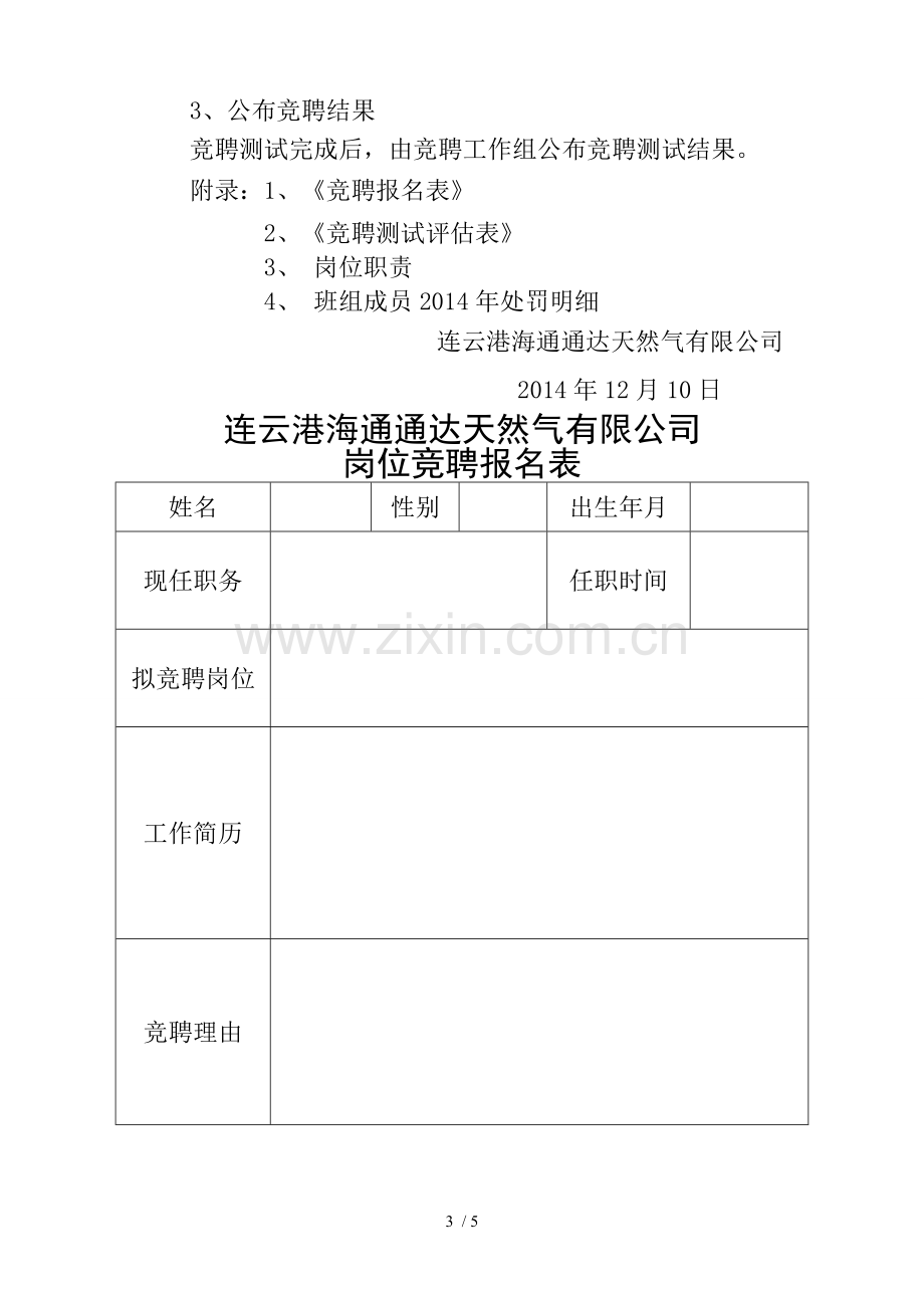 内部竞聘流程及技术方案.doc_第3页