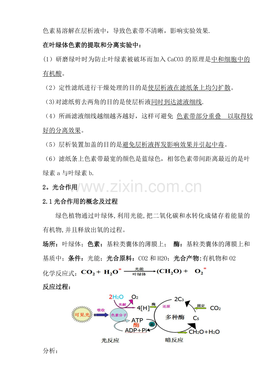 细胞的能量供应与利用——光合作用教学案.doc_第2页