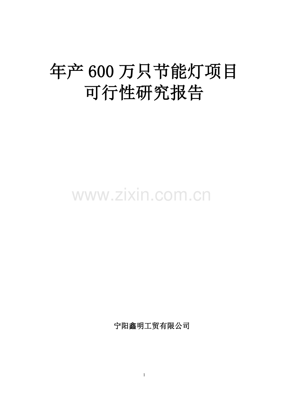 年产600万只节能灯可行性项目可行性研究报告.doc_第1页