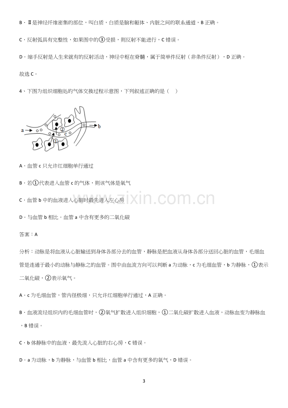 人教版2023初中生物七年级下册第四单元生物圈中的人名师选题.docx_第3页