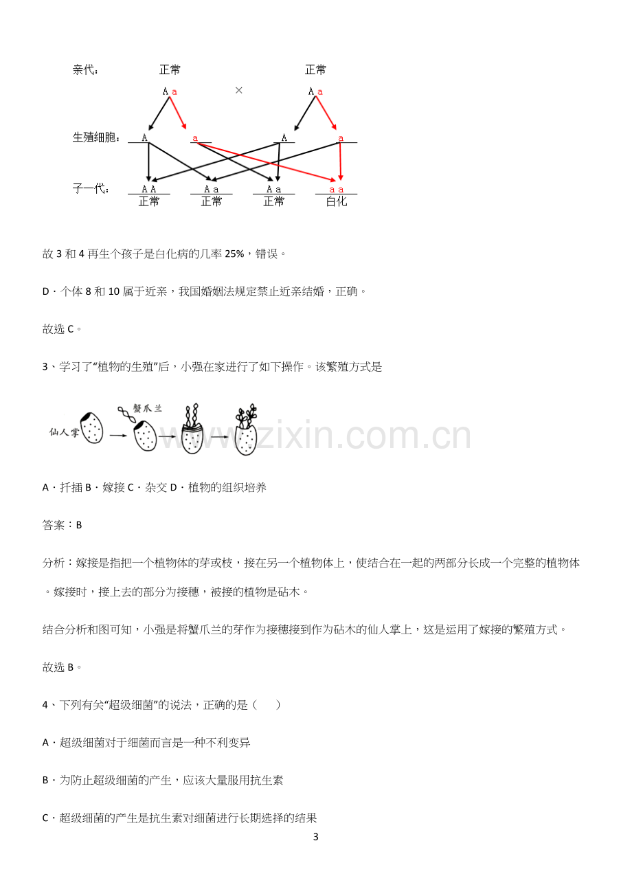 人教版2023初中生物八年级下册第七单元生物圈中生命的延续和发展知识点汇总.docx_第3页