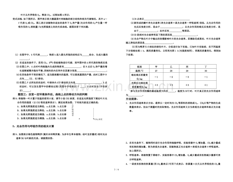 呼吸应用光合应用专题.doc_第3页