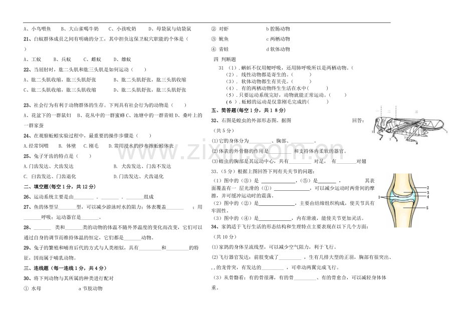 8开考试试卷模板.pdf_第2页