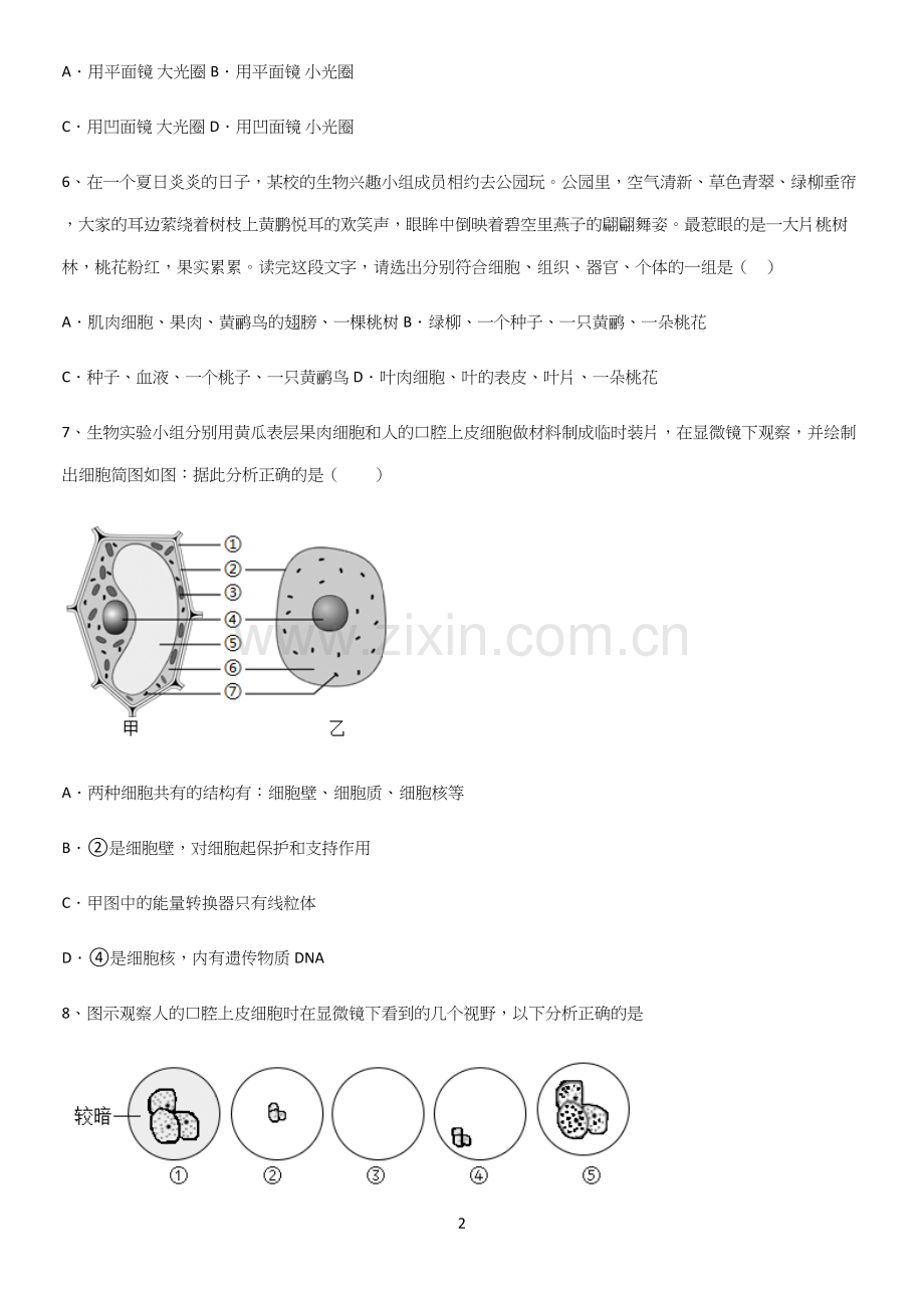 通用版初中生物七年级上册第二单元生物体的结构层次基础知识点归纳总结.docx_第2页