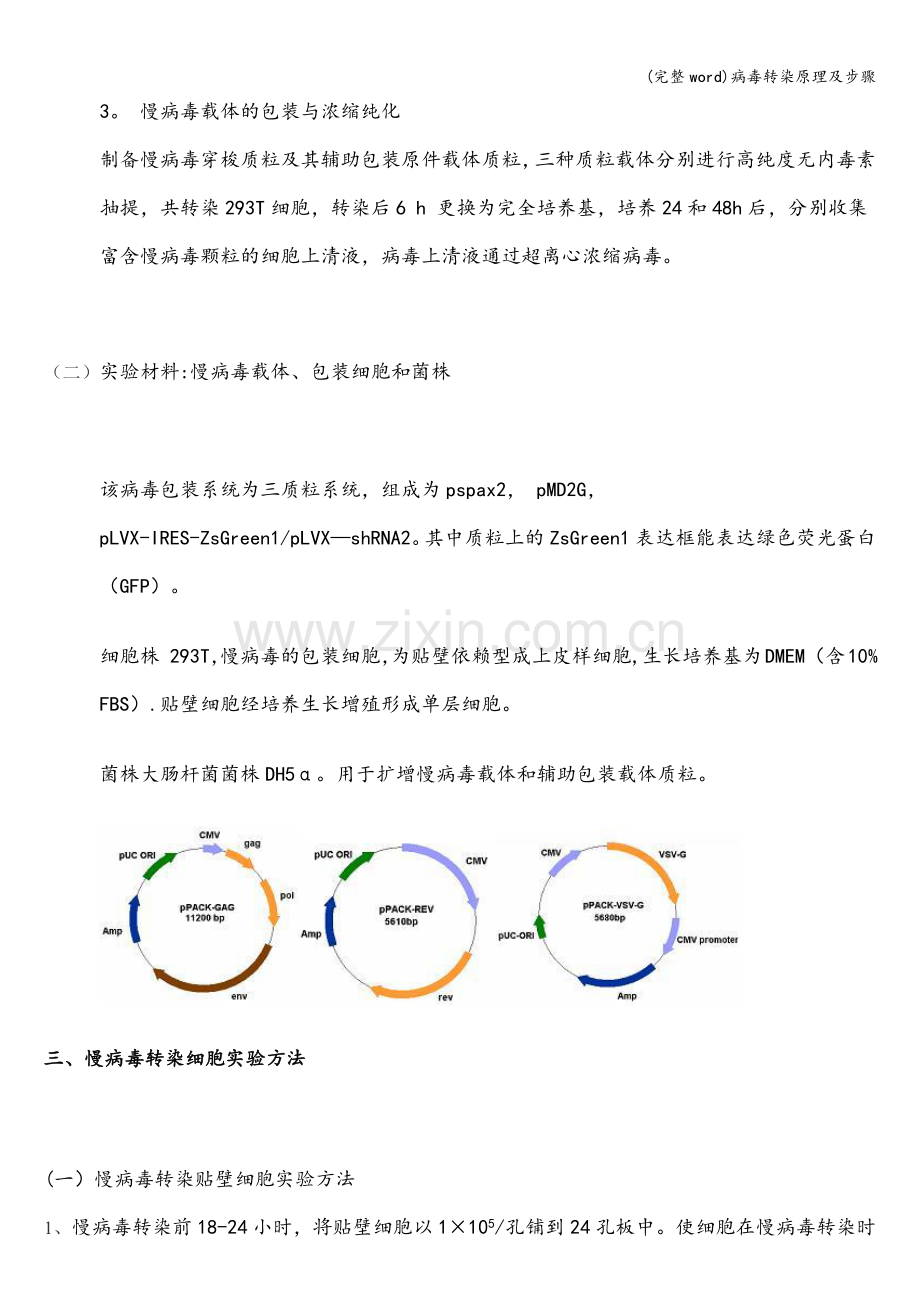 病毒转染原理及步骤.doc_第3页