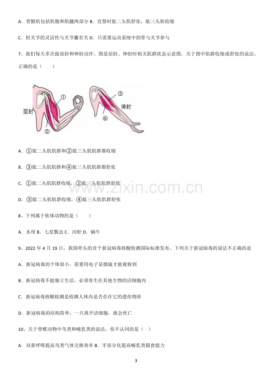 通用版初中生物八年级上册第五单元生物圈中的其他生物知识点汇总.pdf_第3页