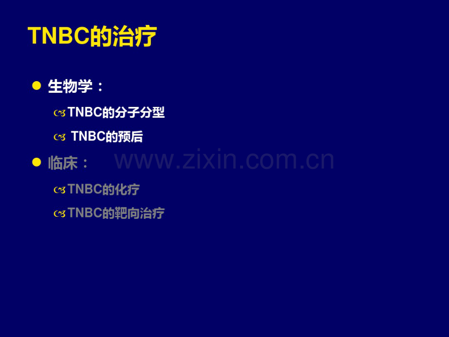 TNBC三阴乳癌-(2).pdf_第2页