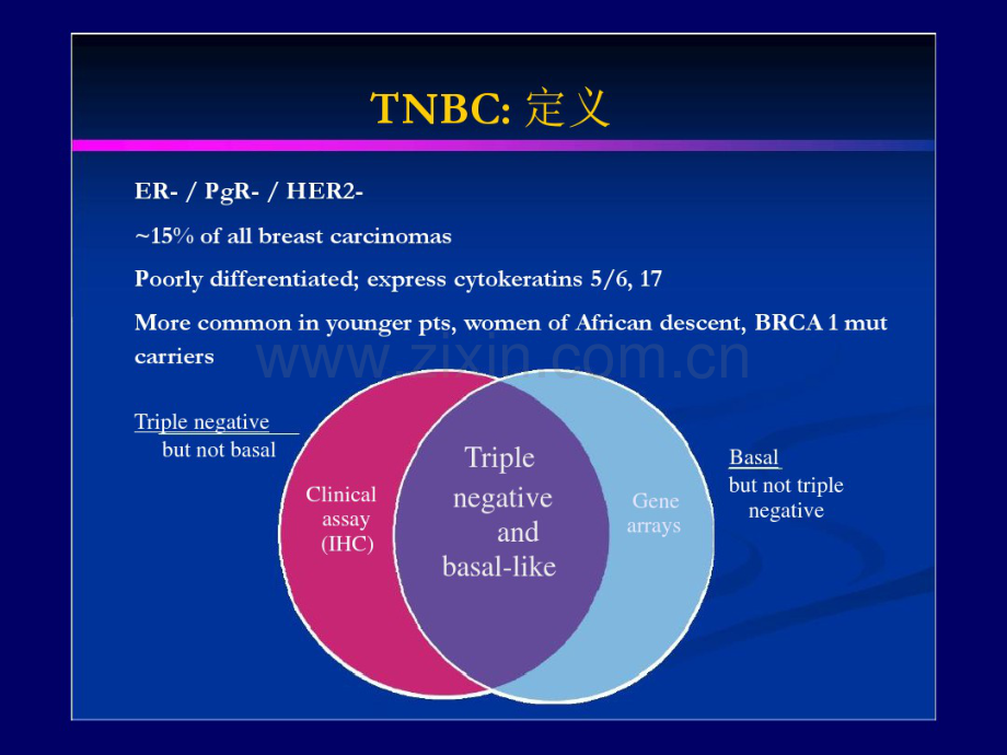 TNBC三阴乳癌-(2).pdf_第3页