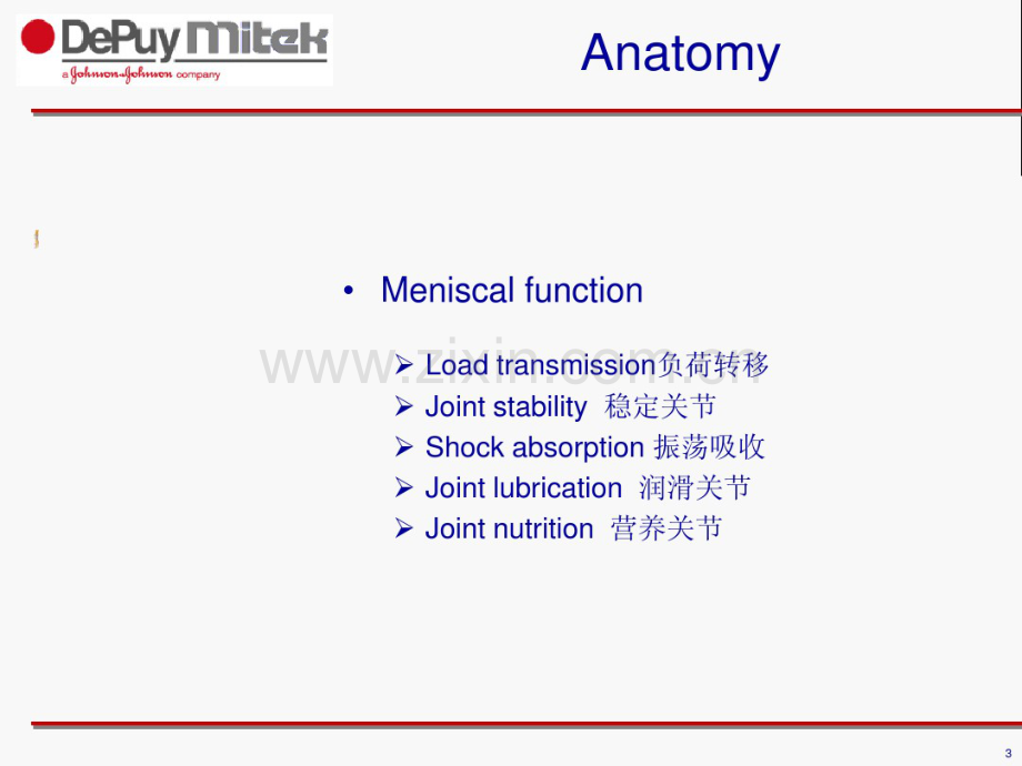 半月板缝合系统.pdf_第3页