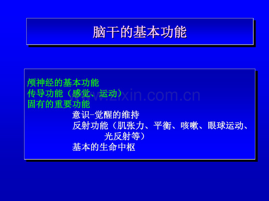 脑干的解剖生理与定位诊断.pdf_第2页