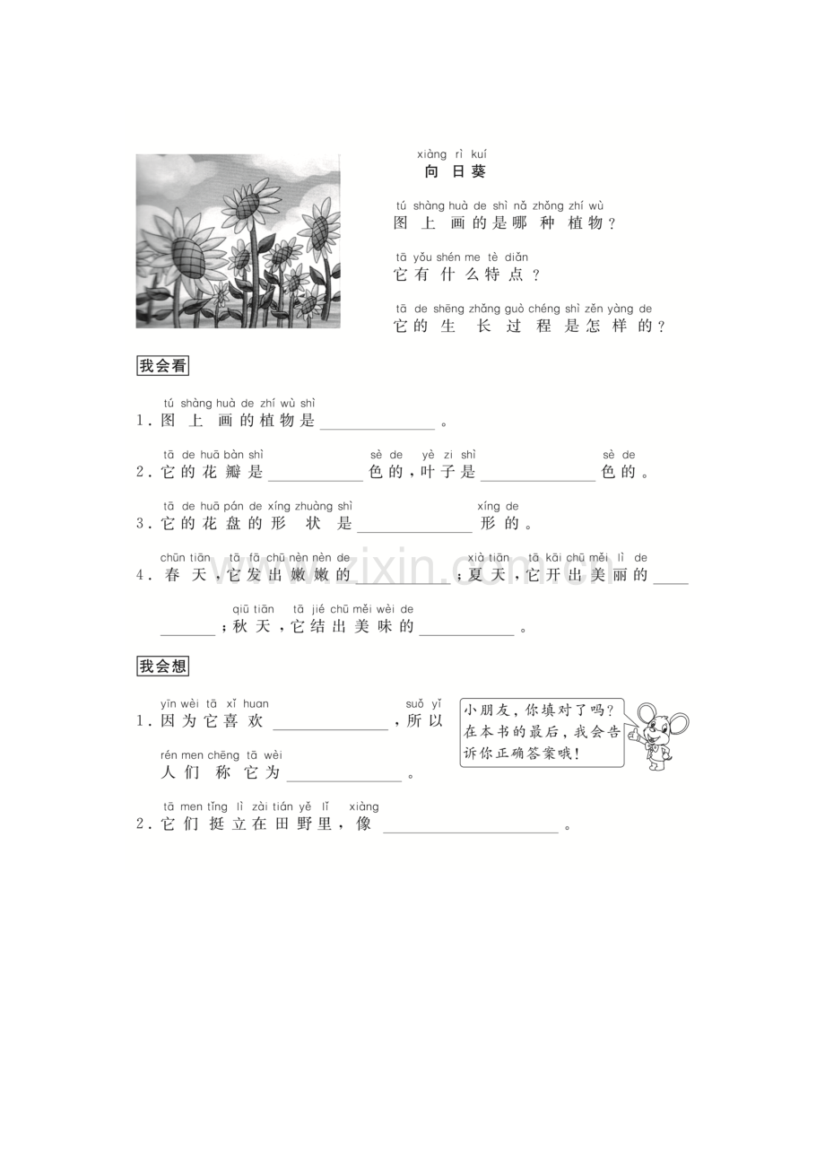 (跟我学写话)写物(5篇).doc_第2页