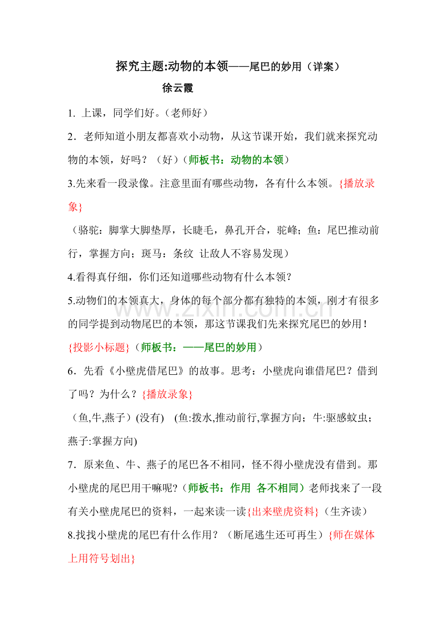 动物的尾巴.doc_第1页