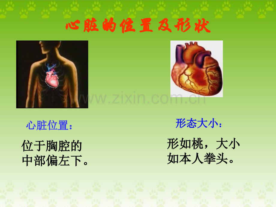 科学PPT课件4.4运动起来会怎样(二).ppt_第2页