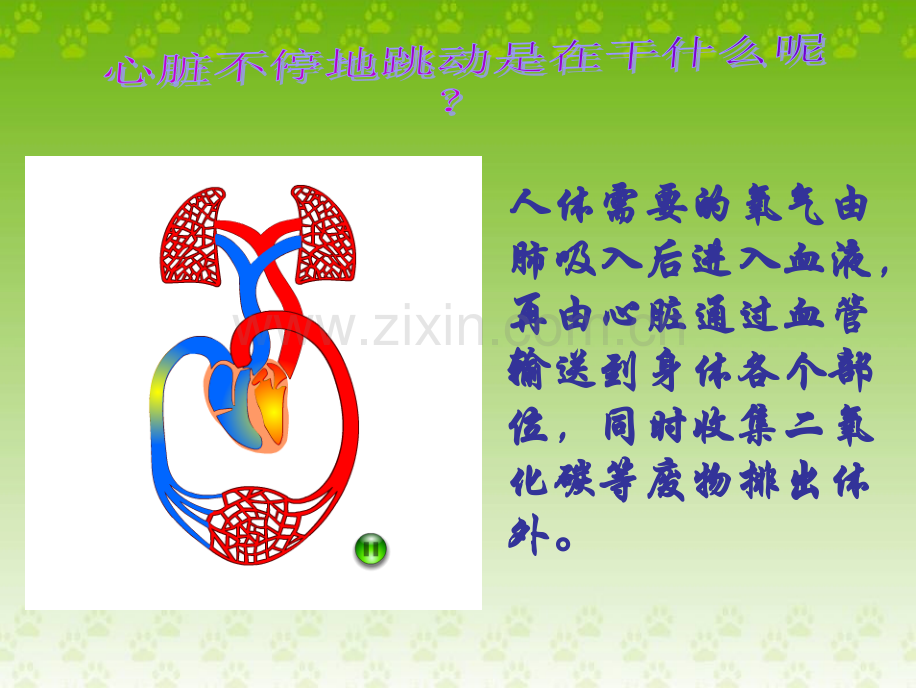 科学PPT课件4.4运动起来会怎样(二).ppt_第3页