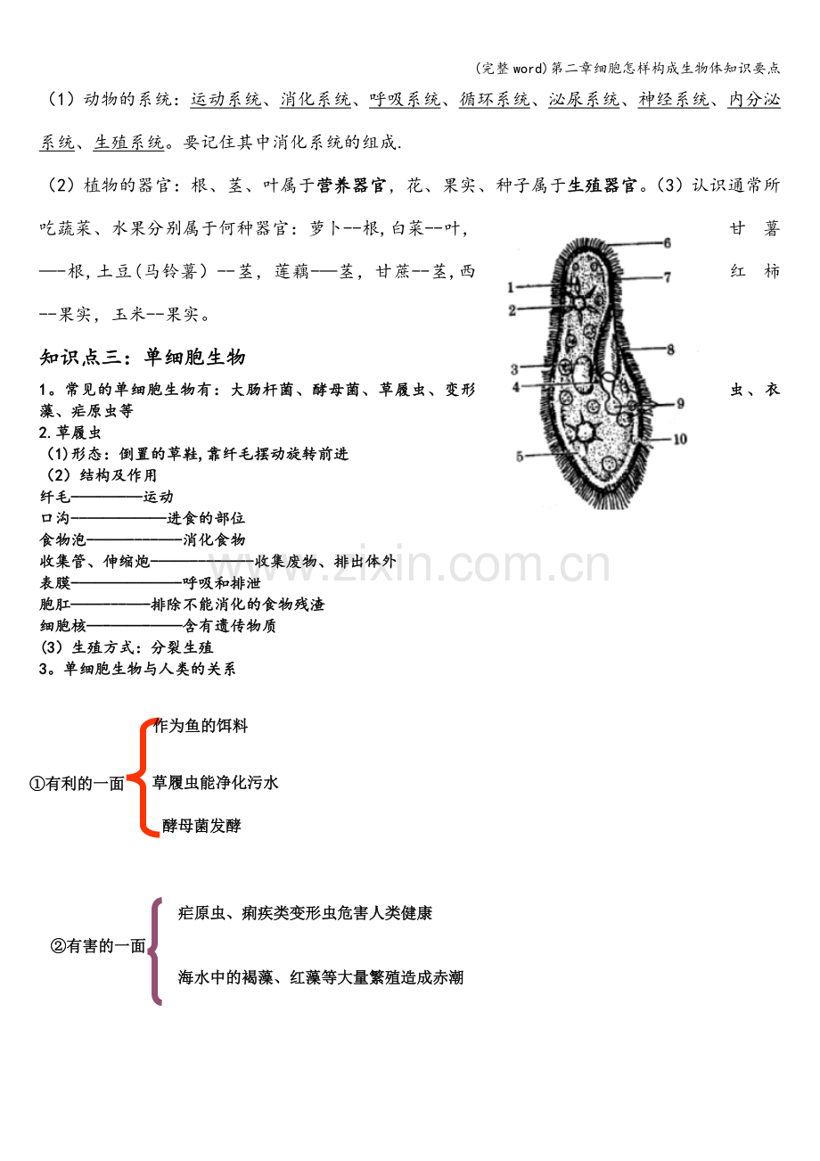 第二章细胞怎样构成生物体知识要点.doc_第3页