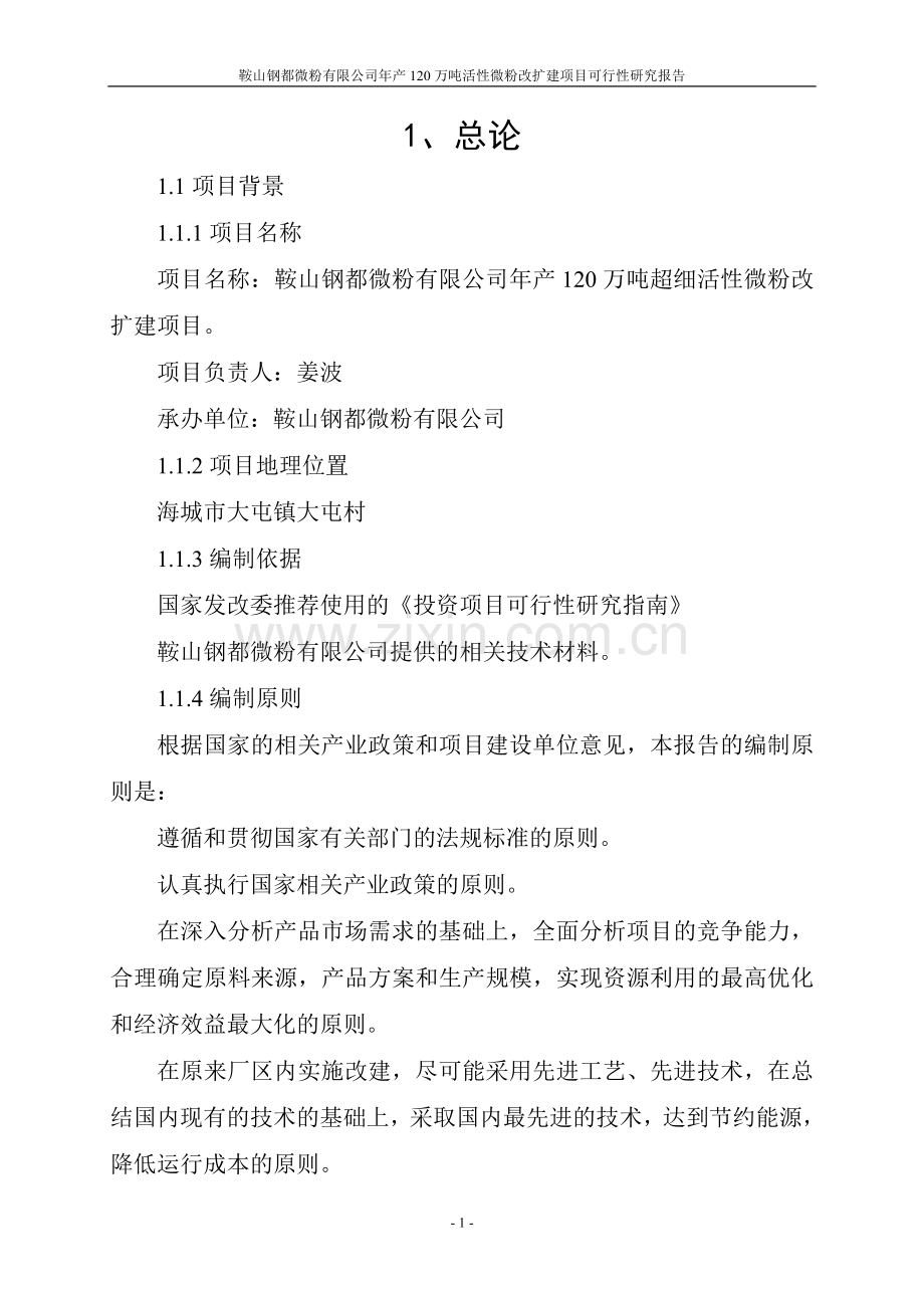 年产120万吨活性微粉改扩建项目可行性研究报告.doc_第1页