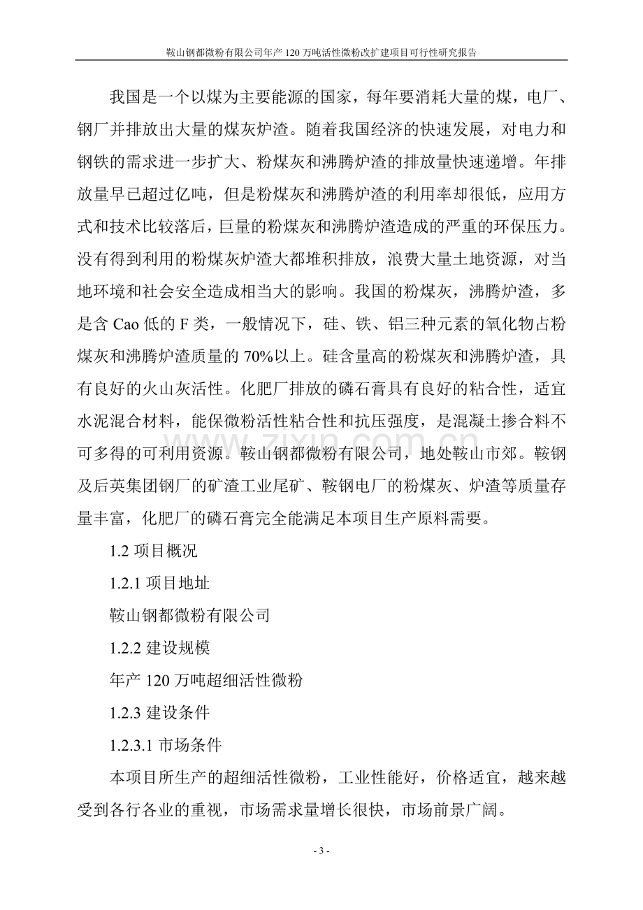 年产120万吨活性微粉改扩建项目可行性研究报告.doc_第3页