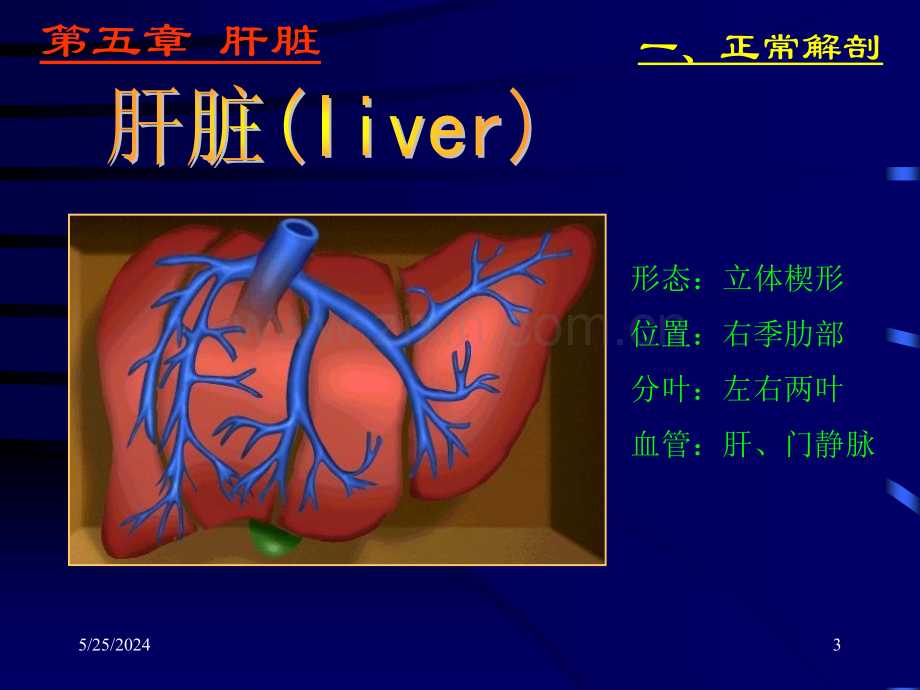 超声诊断学---肝脏.ppt_第3页