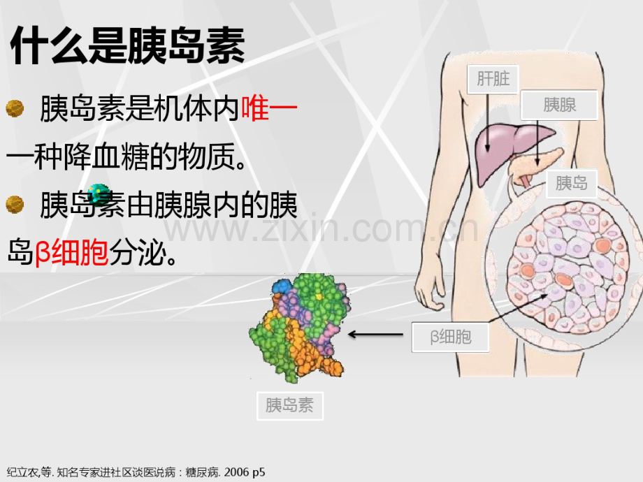 妊娠糖尿病.ppt.pdf_第3页