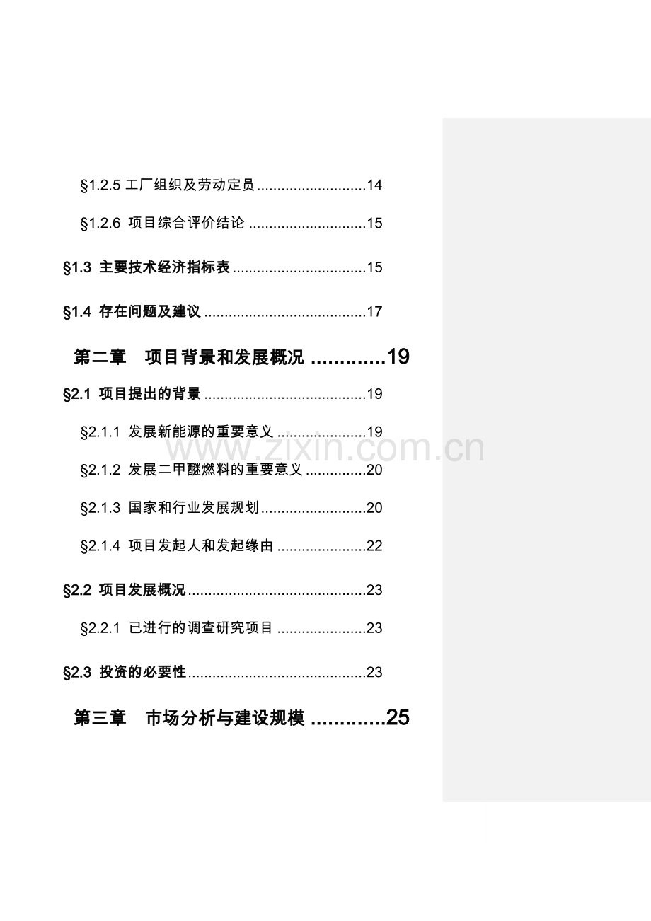 年产25万吨二甲醚项目可行性研究报告.doc_第3页