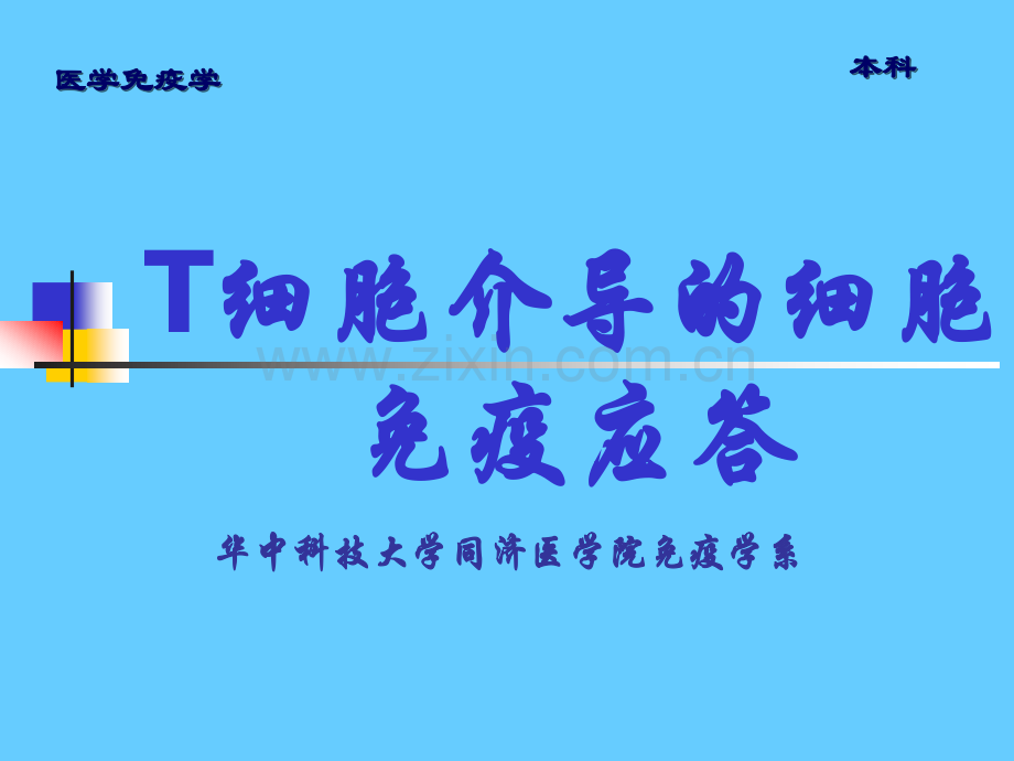 11.3t细胞介导的细胞免疫应答.ppt_第1页