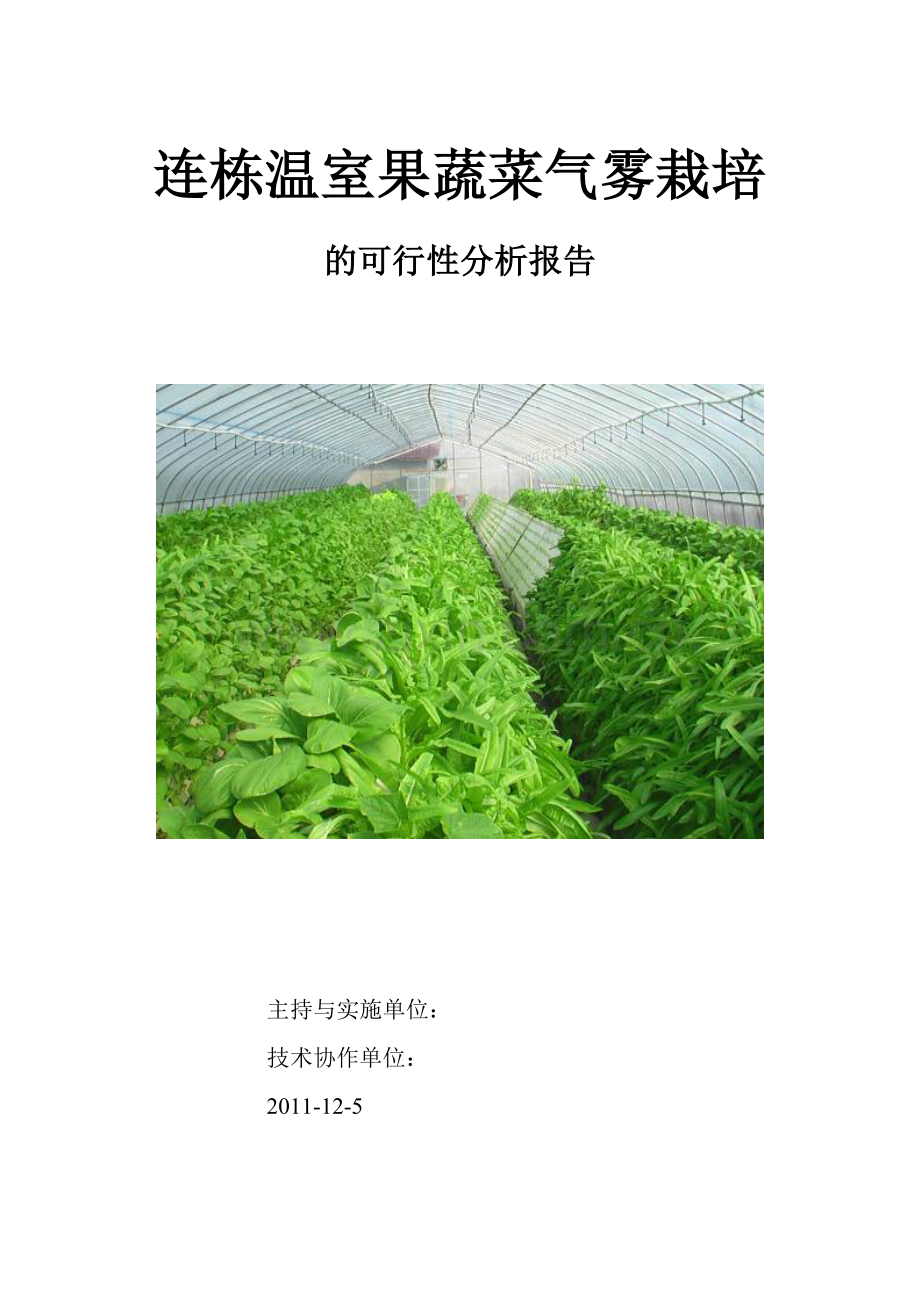 连栋温室果蔬菜气雾栽培的可行性分析报告.doc_第1页