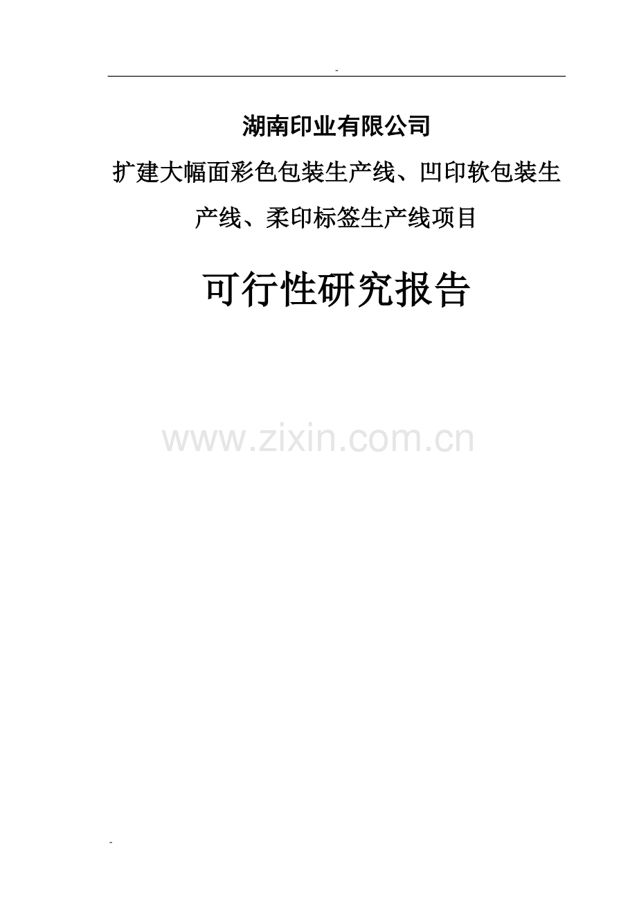 扩建大幅面彩色包装生产线、凹印软包装生产线、柔印标签生产线项目可行性研究报告.doc_第1页