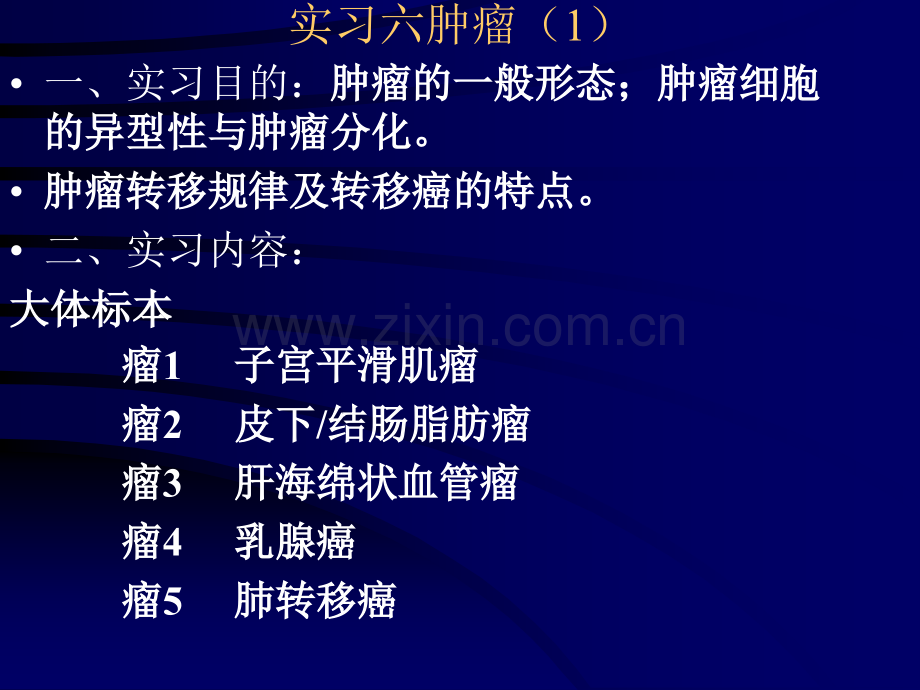 病理实习PPT课件实习6肿瘤(ppt文档).ppt_第1页