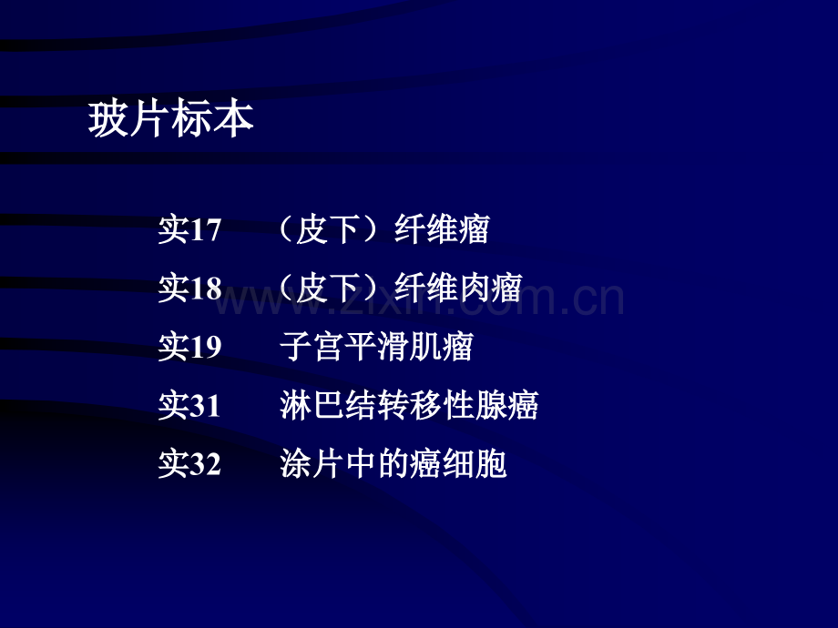 病理实习PPT课件实习6肿瘤(ppt文档).ppt_第2页