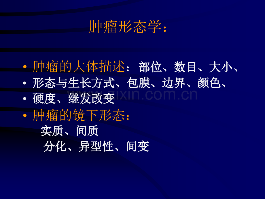 病理实习PPT课件实习6肿瘤(ppt文档).ppt_第3页