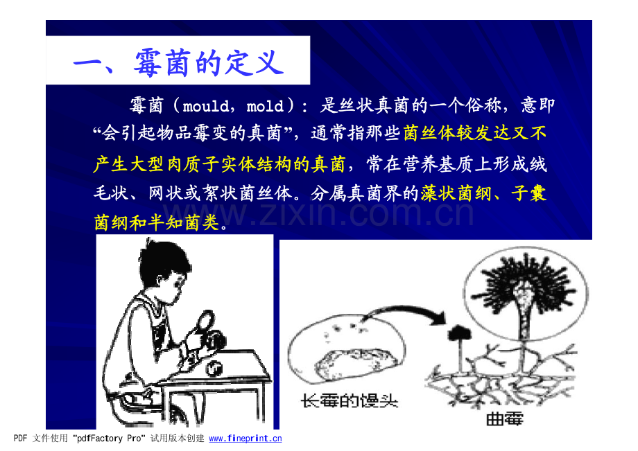 微生物课件(周德庆)第二章Part-3-霉菌.pdf_第3页