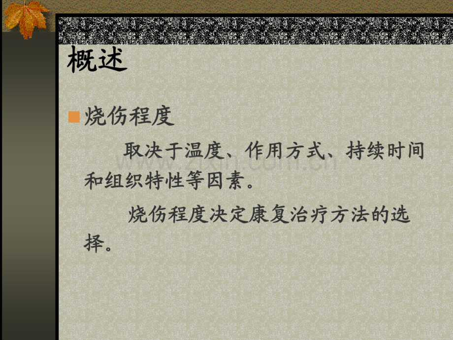 烧伤的康复治疗.pdf_第3页